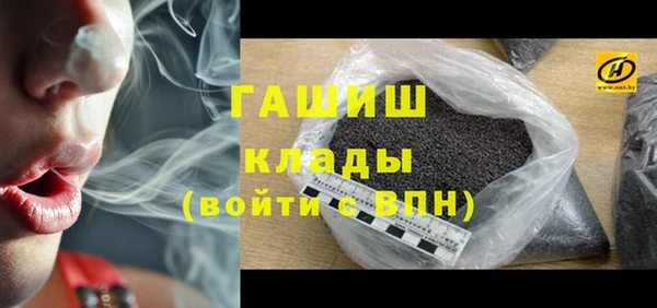 крисы Мегион