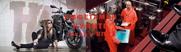 крисы Мегион