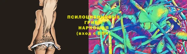крисы Мегион