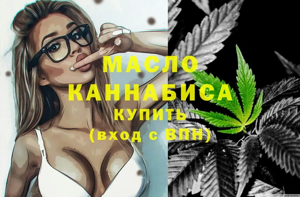 крисы Мегион