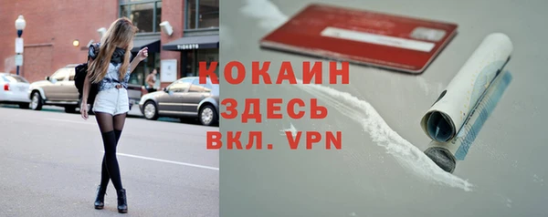 крисы Мегион
