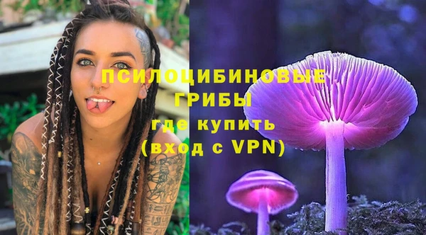 крисы Мегион