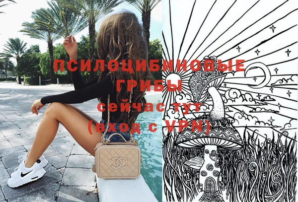 крисы Мегион