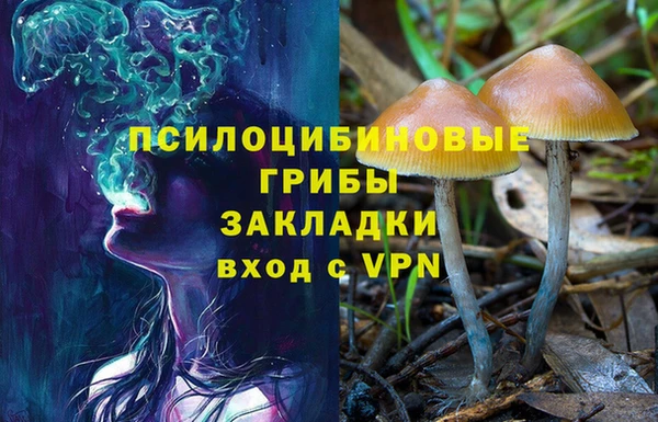 не бодяженный Медвежьегорск