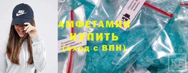 крисы Мегион