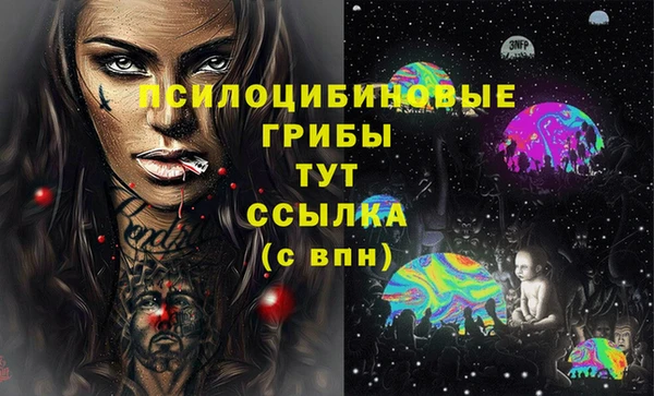 крисы Мегион