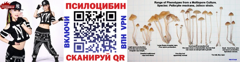 Галлюциногенные грибы мицелий  blacksprut   Берёзовка 